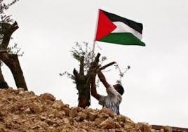 الأكاديمية الدولية تطلق بيانًا لمناهضة الاحتلال ومخططاته