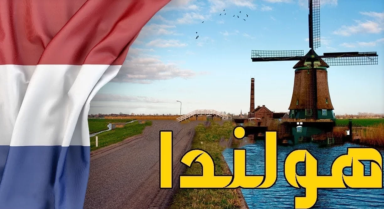 هولندا تتجه نحو إزالة خانة "الجنس" من بطاقة الهوية