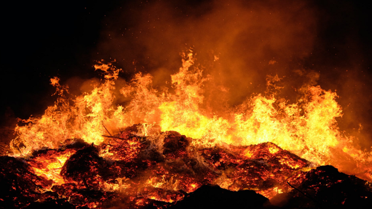 عام "2020 في لقطة واحدة"