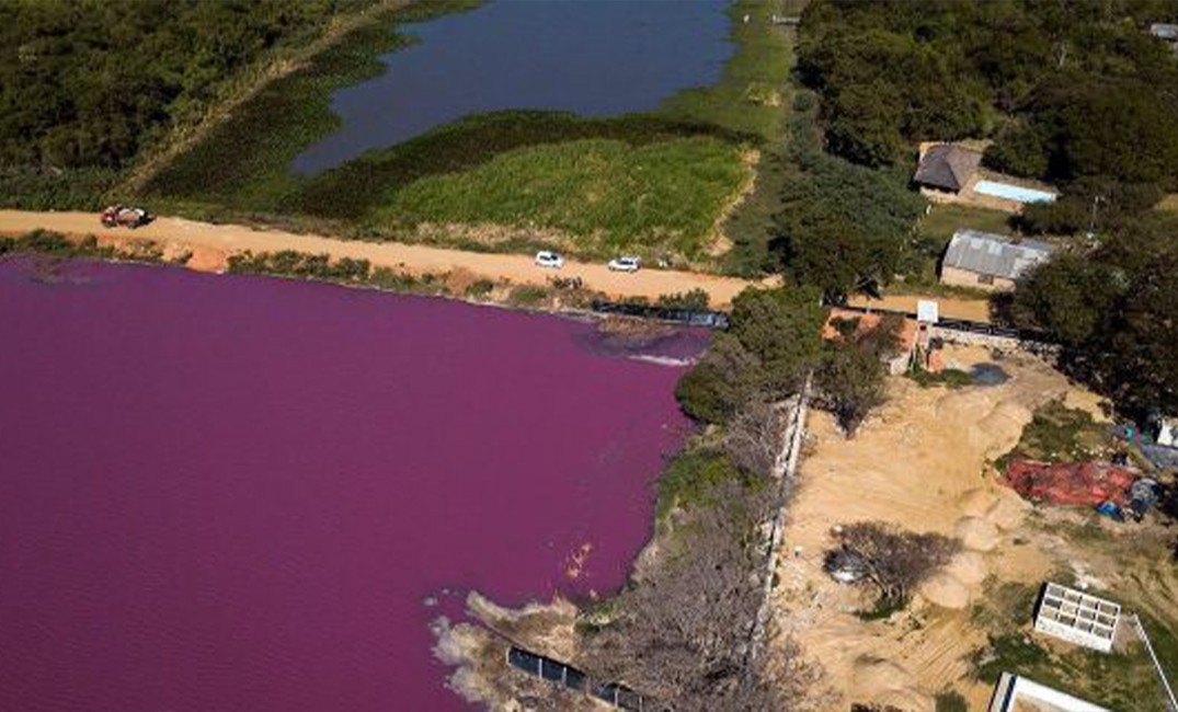 شاهدوا: تحول بحيرة إلى اللون "الأرجواني" من جانب واحد فقط يحير العلماء