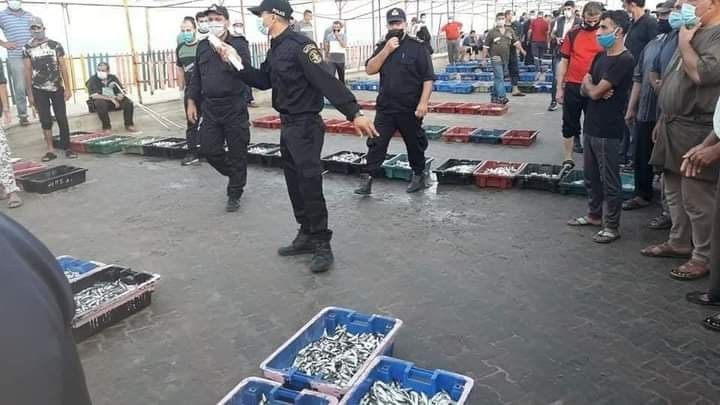 بالصور: صيادو غزة يصطادون كميات وفيرة من الأسماك