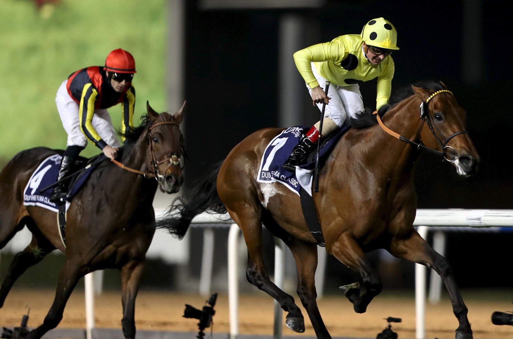 تعليق مشاركة الإمارات في المسابقات الدولية للفروسية