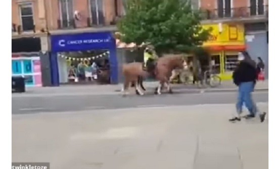 بالفيديو:علم المثليين يثير "رعب" أحصنة الشرطة