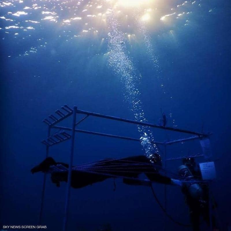 بالفيديو والصور:  الغواص "المصري" يقترب من دخول التاريخ "تحت الماء"