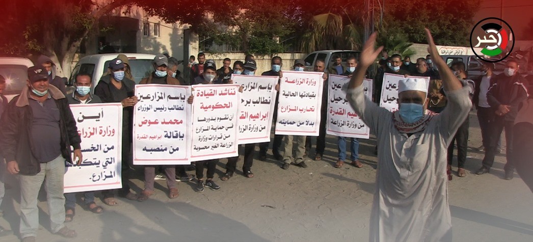 بالفيديو: مزارعون غاضبون يُنظمون وقفة احتجاجية أمام مقر وزارة الزراعة بغزّة