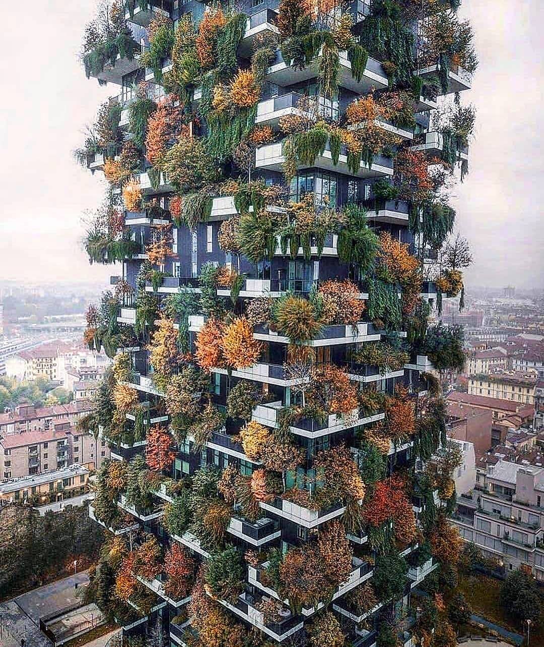 شاهدوا :  بناية "بوسكو فيرتيكال" المسماة بـ "الغابة العمودية" فى وسط ميلان