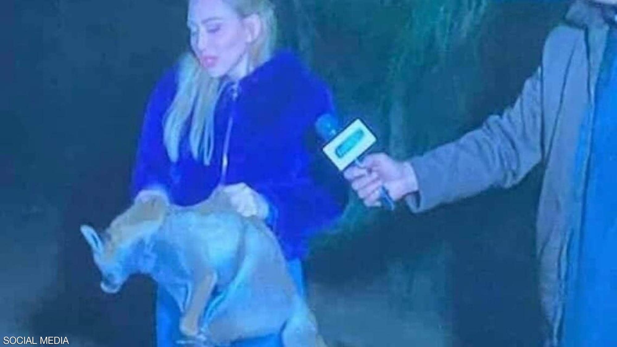 وقف بث برنامج صبايا الخير لمخالفته المعايير المهنية وقوانين الحيوانات البرية