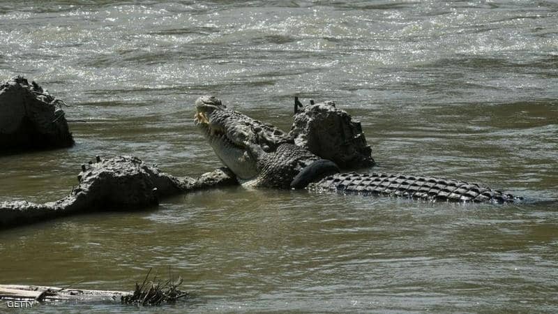 قصة مجرم أسترالي