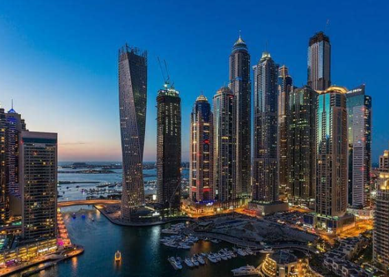 "حشرة" تحل لغز جريمة قتل فى إمارة دبى