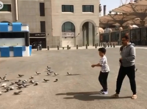 بالفيديو: محمد رجب وابنه يوسف يطعمان الحمام فى ساحة المسجد النبوى