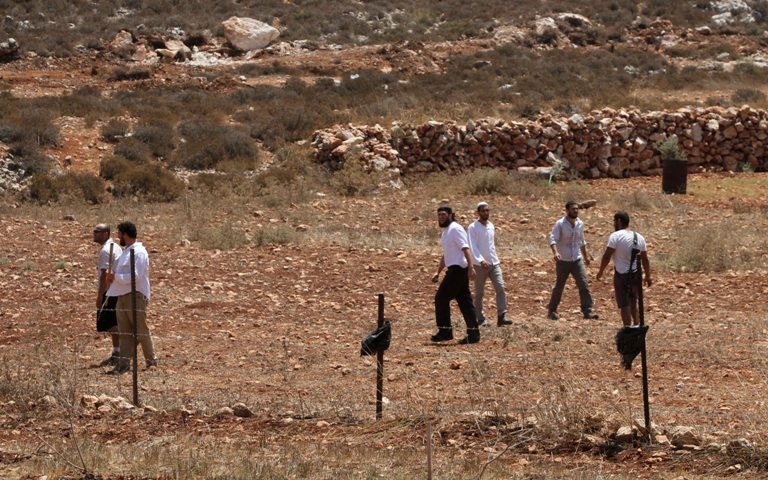 مستوطنون يعتدون على المواطنين ويقتلعون الأشجار في الخليل