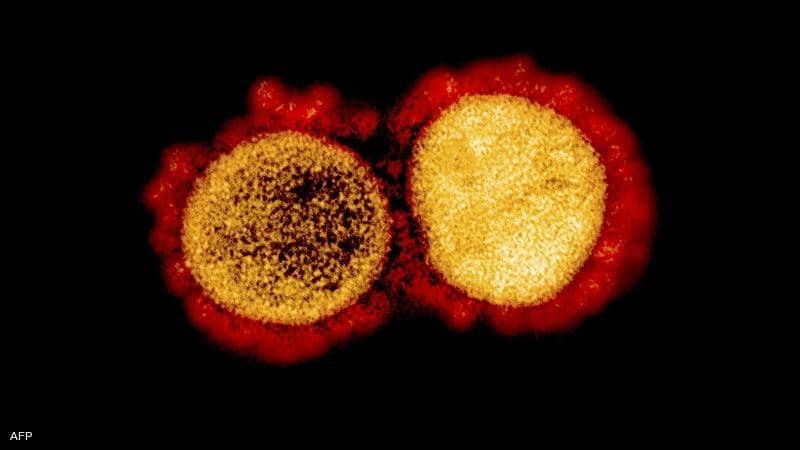 لقاح "فايزر" وطفرات "كورونا" دراسة تمحو موجة القلق