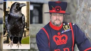 بالفيديو | قلق في "بريطانيا" بعد اختفاء غامض لـ"ملكة غربان" برج لندن