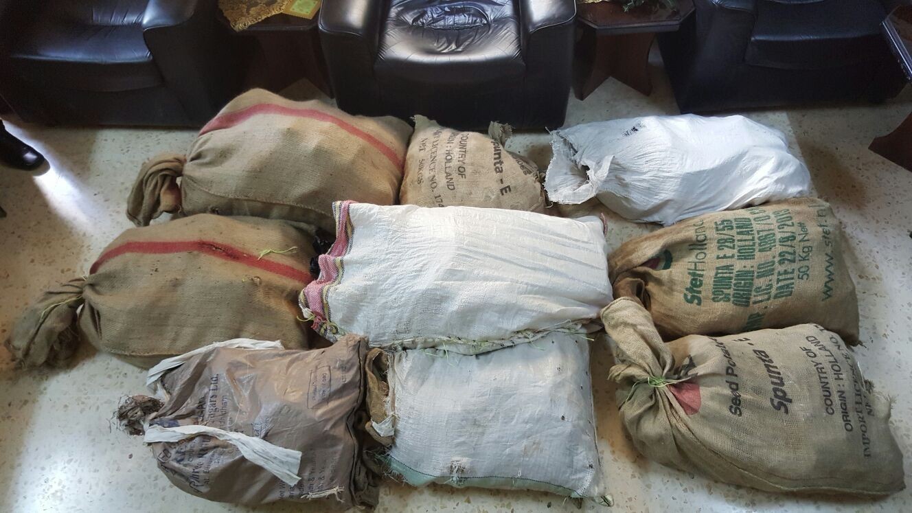 ما هي جهود المملكة العربية السعودية في مكافحة المخدرات