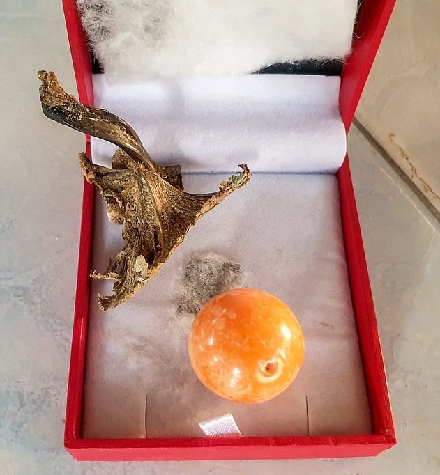 شاهدوا: تايلاندى يعثر على لؤلؤة نادرة داخل وجبة غذاء