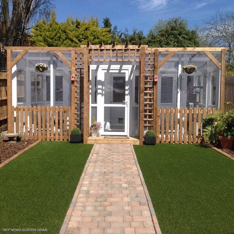 شاهدوا | فنادق 5 نجوم للقطط والكلاب في بريطانيا