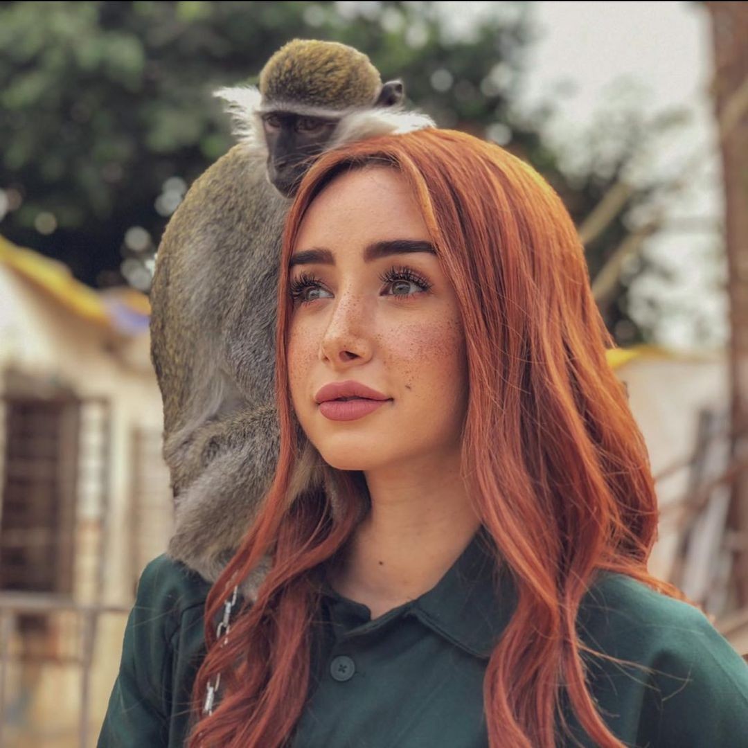 بالفيديو: هنا الزاهد تتعرض للعض من النسناس بودي