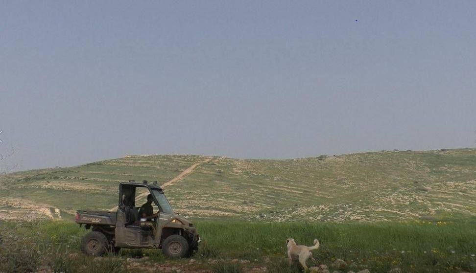 مستوطنون يجرفون أراضي في الأغوار الشمالية