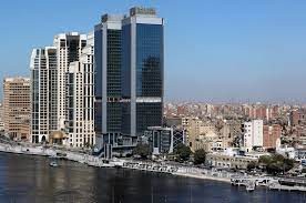 بالصور | سمكة "نابليون" على طاولة البرلمان المصري