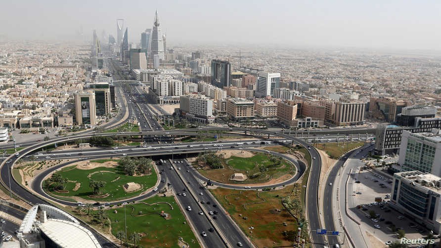 بالفيديو | "قاتلينهم في بيت الله في أرض الله".. ناشطة سعودية تنتقد ظاهرة تسميم الكلاب في مكة