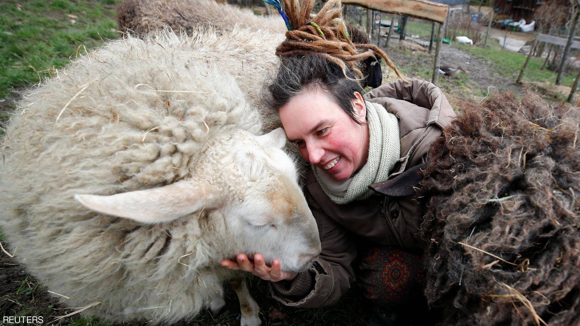 شاهدوا | مزرعة تعرض حلا غريبا لمن يعانون من العزلة في زمن كورونا