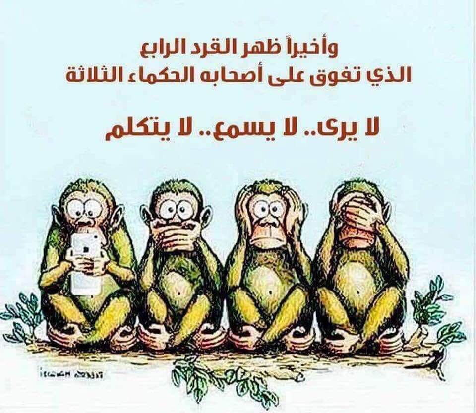 بالفيديو | ظهور القرد الرابع رفيق حكماء" لا يرى.. لا يسمع.. لا يتكلم"