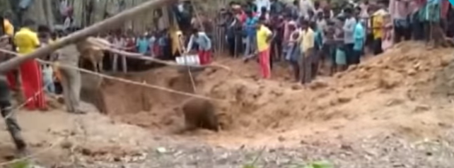 السطات الهندية تنقذ فيل صغير بعد سقوطه فى بئر عميق