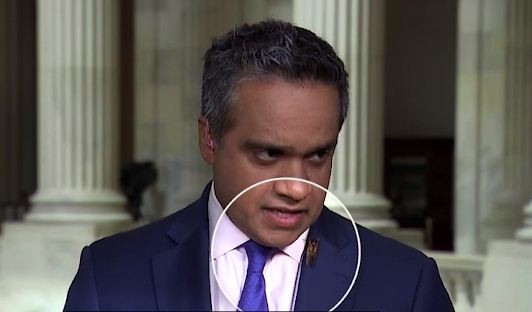 شاهدوا: مذيع يفتاجأ بحشرة كبيرة تقف على رقبته أثناء التجهيز لبث من الكونجرس