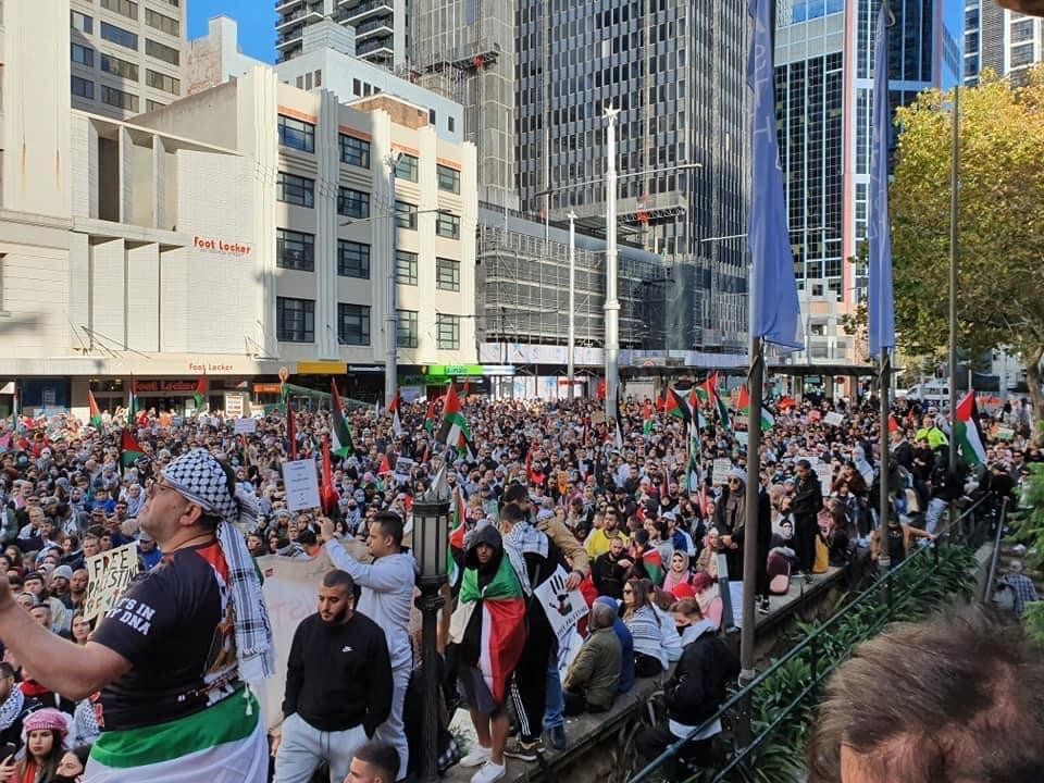 15 تظاهرة ستنظم اليوم في أمريكا تنديداُ بجرائم الاحتلال