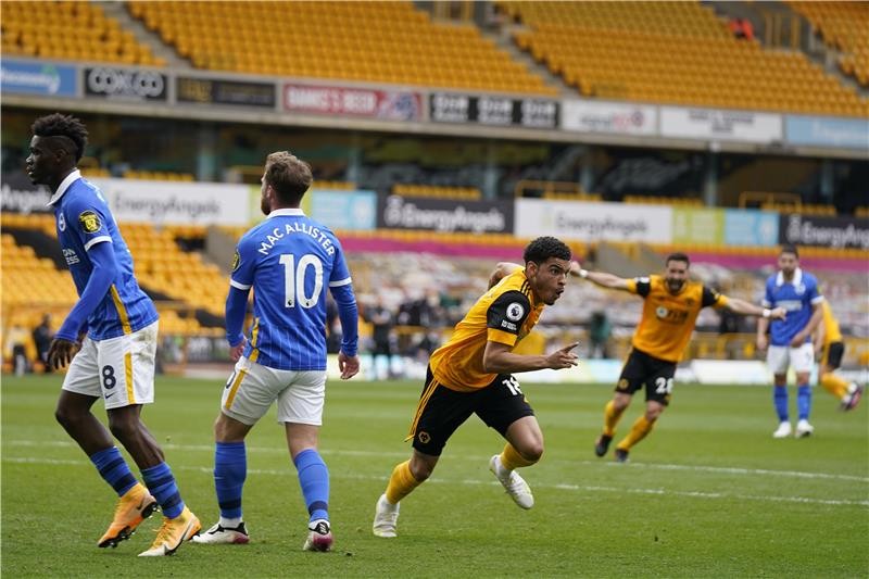 بالصور: وولفرهامبتون يلدغ برايتون "المنقوص" بهدف قاتل