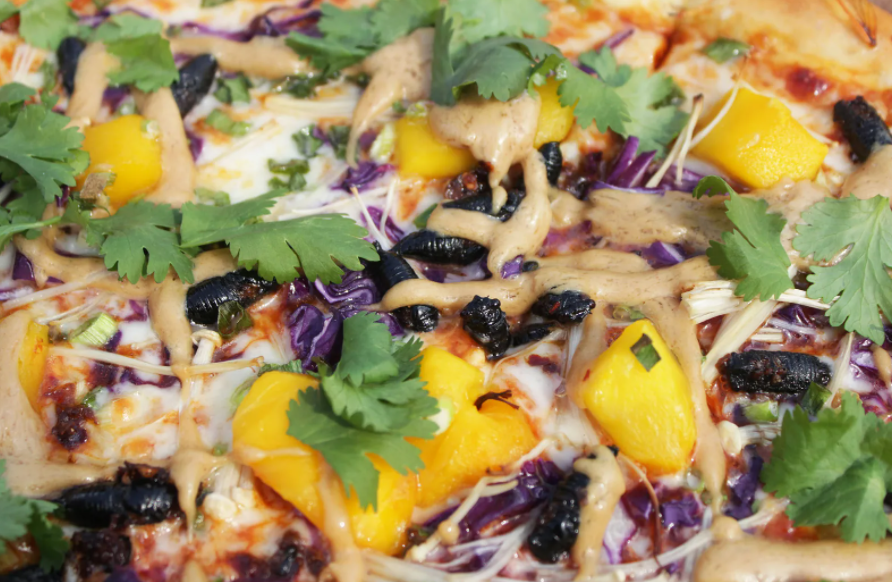 مطعم أمريكى يبدأ تجربة بيتزا بحشرات "السيكادا"