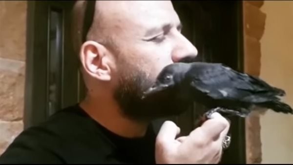 فيديو: أحمد مكي يُطعم غراب