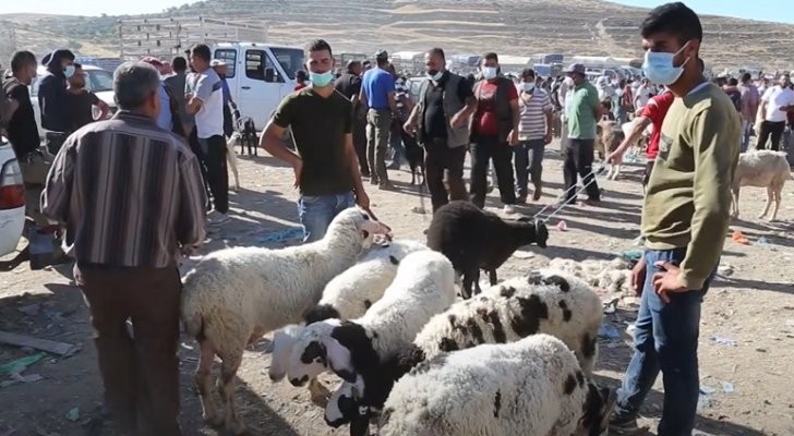 مفتي القدس يؤكد جواز التضحية بالعجول المسمنة
