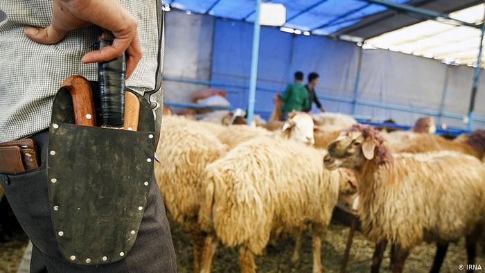 بلدية رفح تصدر إرشادات للمواطنين خلال عيد الأضحى المبارك