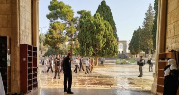 عشرات المستوطنين برفقة شرطة الاحتلال يقتحمون باحات المسجد الأقصى صبيحة يوم عرفة
