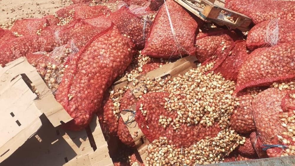 زراعة غزة تدين إقحام الشأن السياسي في الملف الزراعي