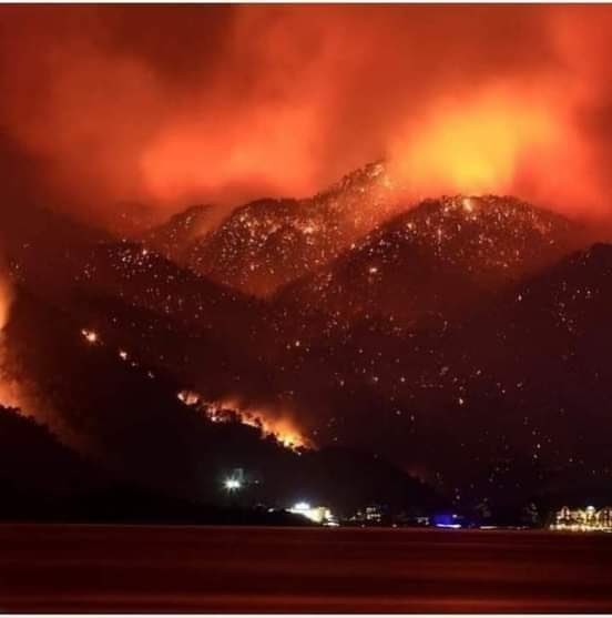 الدرك الجزائري يُلقي القبض على مُتسبب بحريق جبال سرايدي