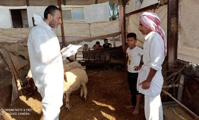 زراعة غزة تشرع بحملة للتطعيم ضد مرض "الحمى المالطية"