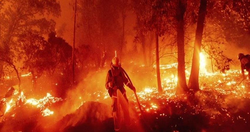 بالفيديو | جريمة "بشعة" وسط الحرائق بالجزائر