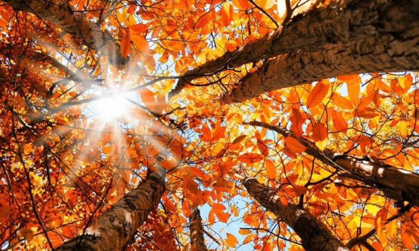 تعرَّف على طقس فلسطين يوم غد الأحد 1 أكتوبر 2023