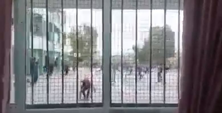 تعليم غزة تكشف تفاصيل حادثة اعتداء طلاب على مدرسين شمال غزة