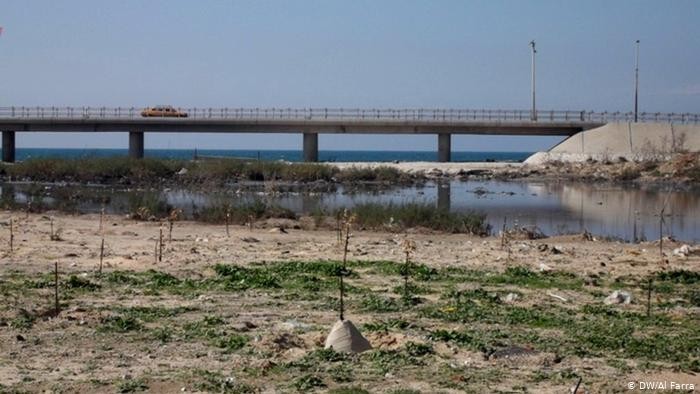 سرحان: نعمل على توفير مبالغ لشبكة الإضاءة في منطقة جسر وادي غزة