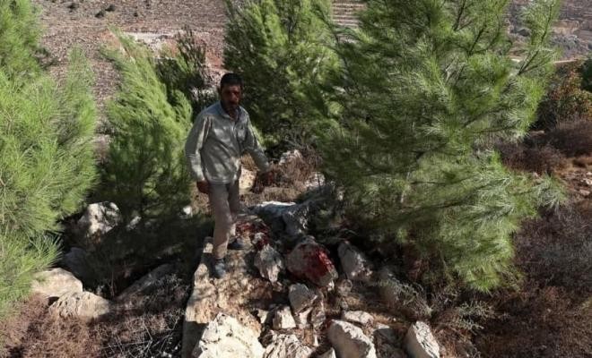 قناة عبرية: جيش الاحتلال يعثر على متفجرات تابعة لـ"خلية" حماس في رام الله