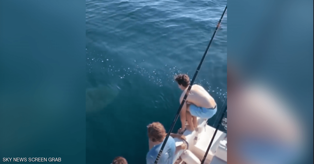 بالفيديو:  شابين يقفزان فوق سمكة قرش ..جنون أم شجاعة؟