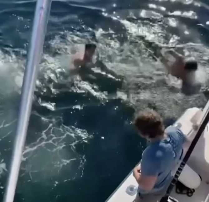 شابان يقفزان فوق سمكة قرش فى أمريكا