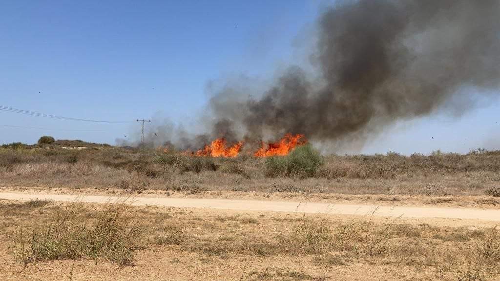 قناة عبرية: حرائق غلاف غزة ليست بفعل بالونات حارقة