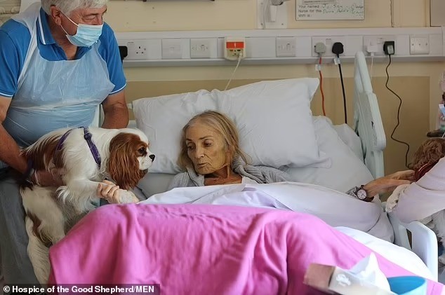 لحظة وداع سيدة بريطانية لحيواناتها الأليفة من فراش مرض عضال