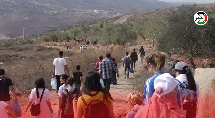 بالفيديو: يوم عمل تطوعي لقطف ثمار الزيتون على أراضي قرية اسكاكا في سلفيت