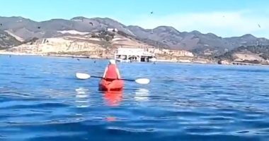 حوت يحاول التهام زروق صغير على متنه شخصان.. عكس طبيعته المسالمة