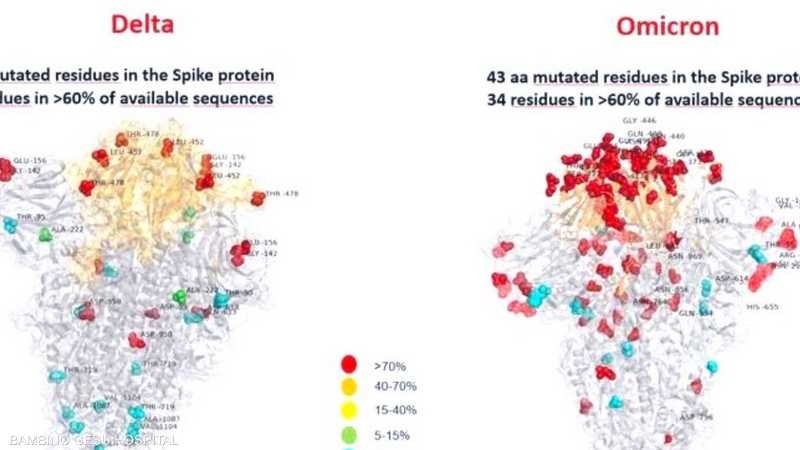 شاهد: أول صورة لمتحور "أوميكرون" الجديد.. ماذا تكشف؟